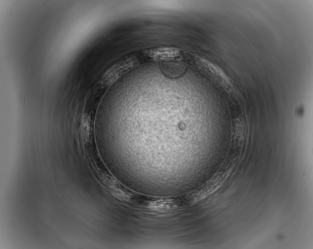 X0000099290761200805090930