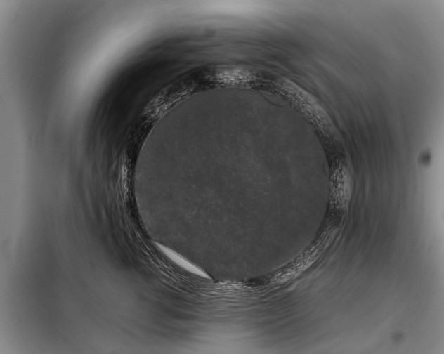 X0000099290762200805090930
