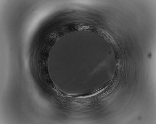 X0000099290763200805090930