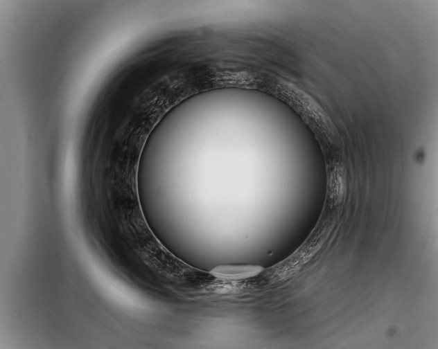 X0000099290764200805090930