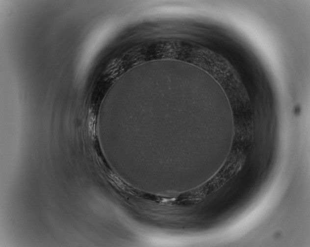 X0000099290766200805090930