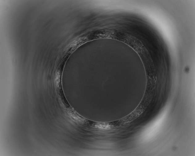 X0000099290767200805090930