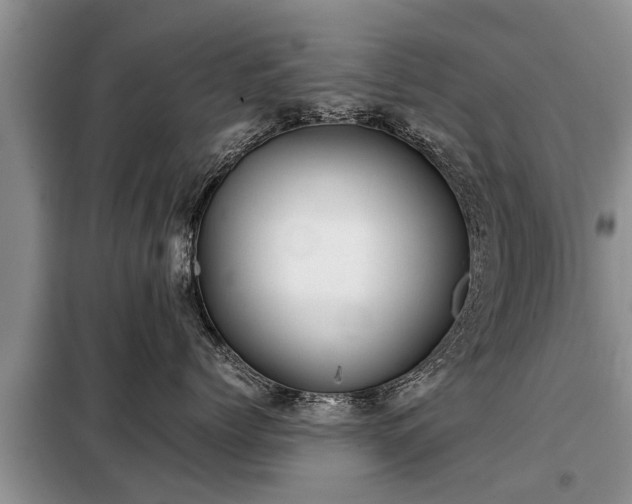 X0000099290768200805090930