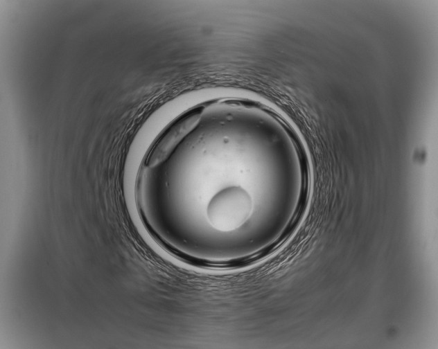 X0000099290769200805090930