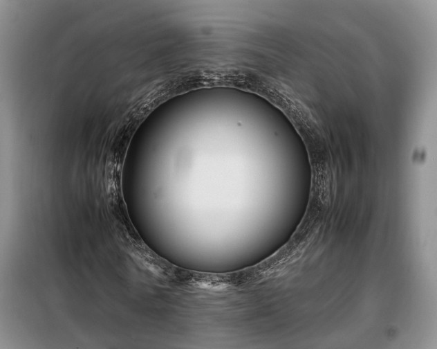 X0000099290770200805090930