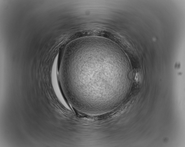 X0000099290771200805090930