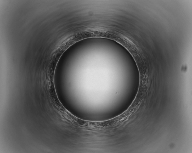 X0000099290774200805090930