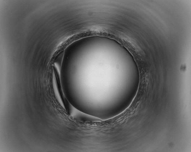 X0000099290776200805090930