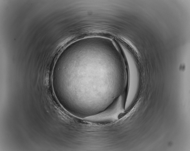X0000099290777200805090930