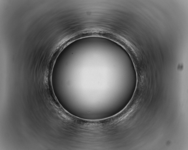 X0000099290778200805090930