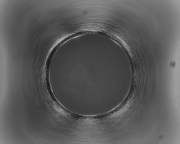 X0000099290779200805090930
