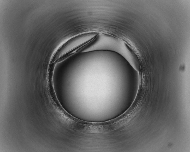 X0000099290780200805090929