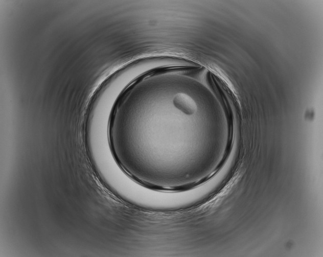 X0000099290781200805090929