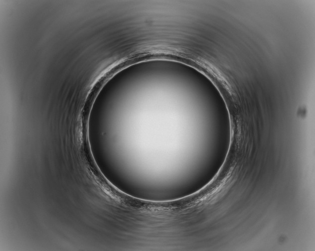 X0000099290782200805090929