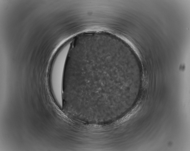 X0000099290783200805090929