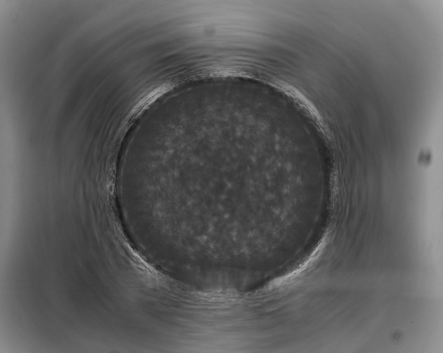 X0000099290785200805090929