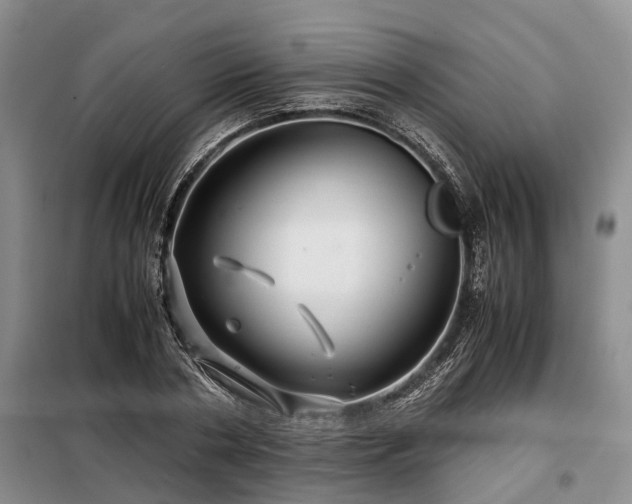 X0000099290786200805090929