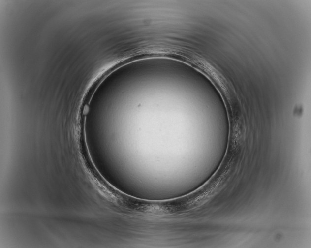 X0000099290787200805090929