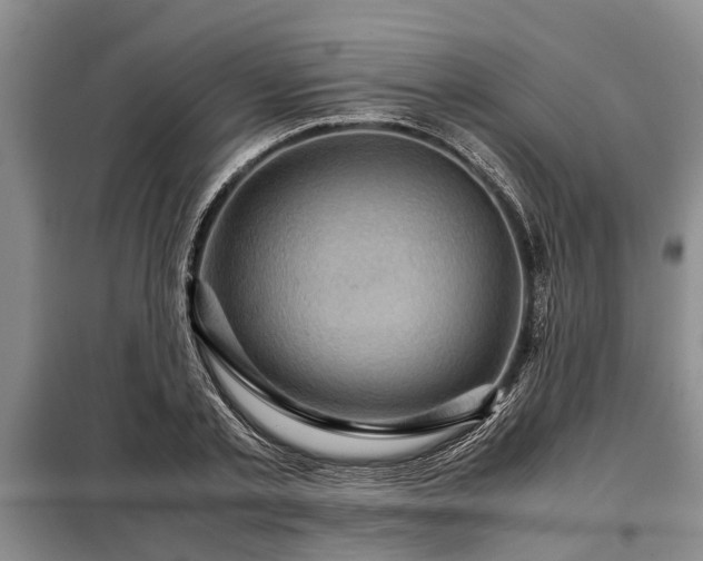 X0000099290789200805090929
