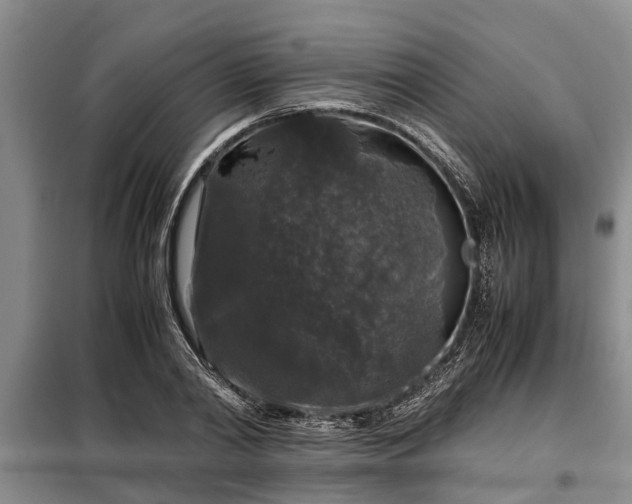 X0000099290790200805090929