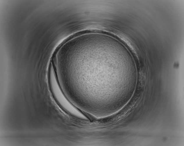 X0000099290791200805090929
