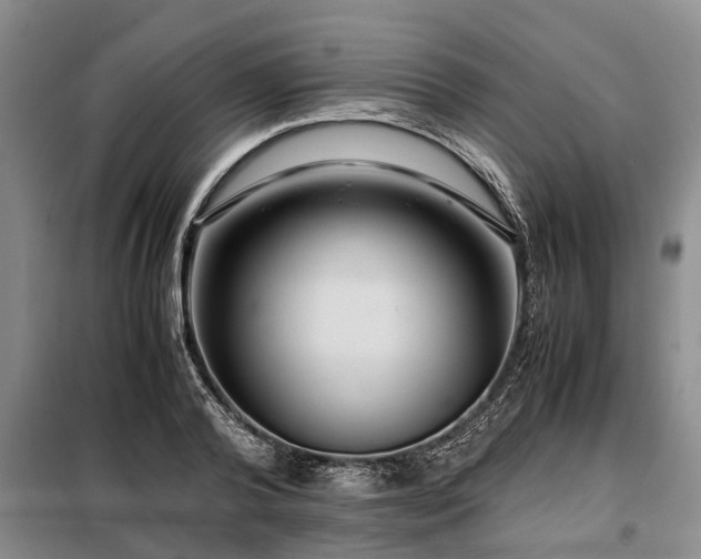 X0000099290792200805090929