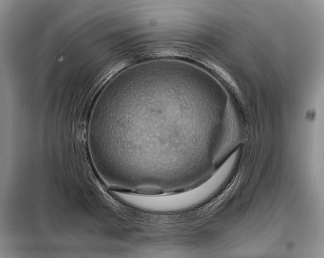 X0000099290793200805090929