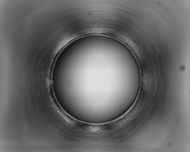 X0000099290794200805090929