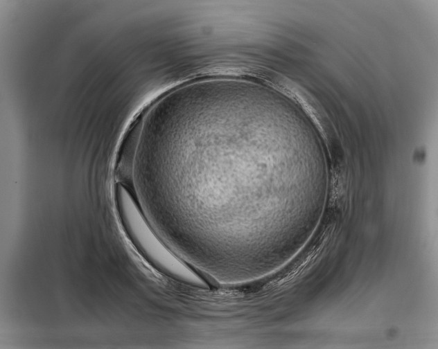 X0000099290795200805090929