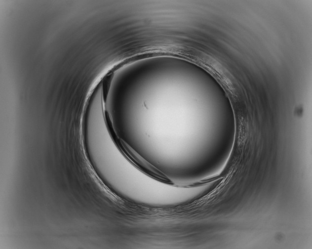 X0000099290796200805090929