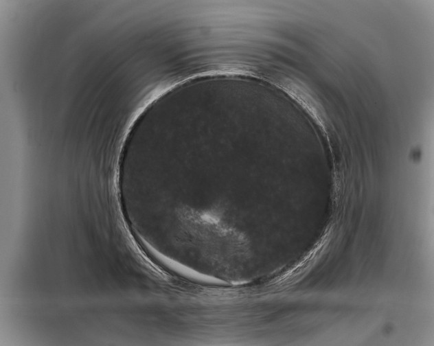 X0000099290797200805090929
