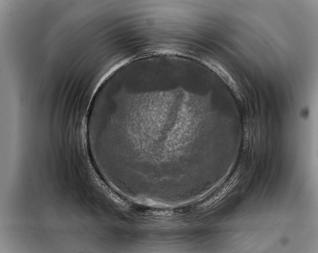 X0000099290798200805090929