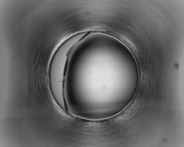 X0000099290800200805090929