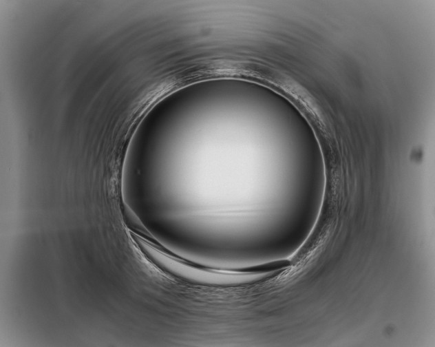 X0000099290801200805090929