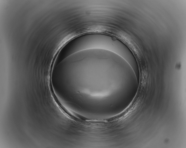 X0000099290802200805090929
