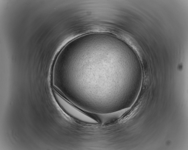 X0000099290803200805090929
