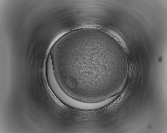 X0000099290804200805090929