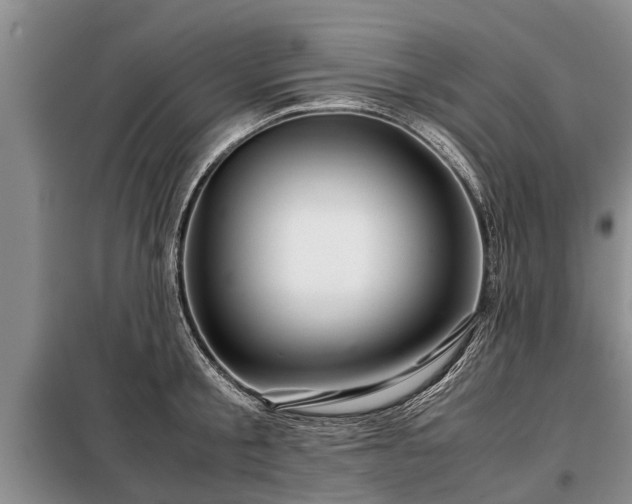 X0000099290805200805090929