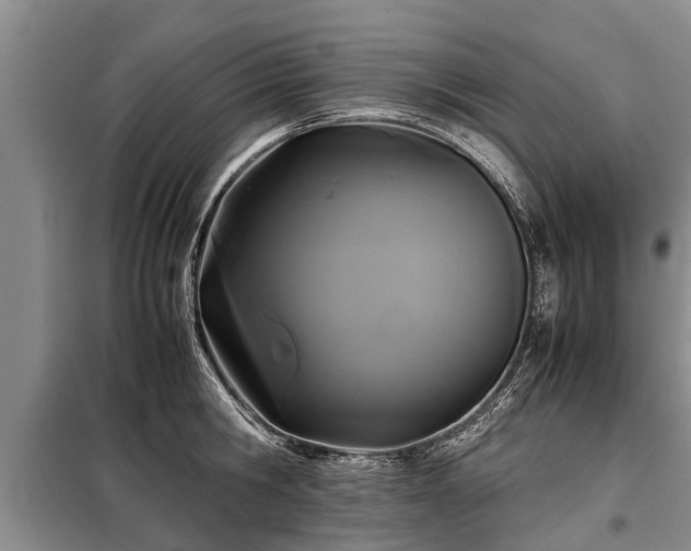 X0000099290806200805090929