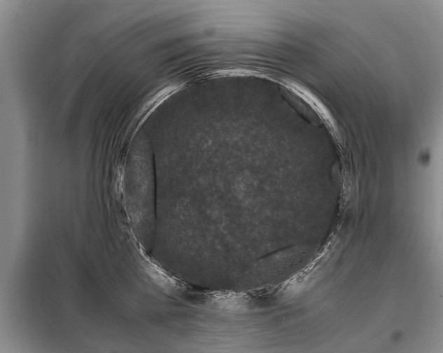 X0000099290809200805090929