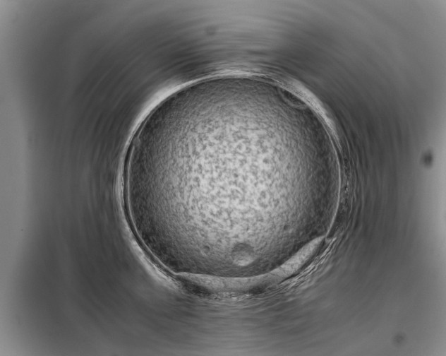 X0000099290811200805090929