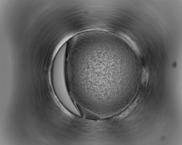 X0000099290812200805090929