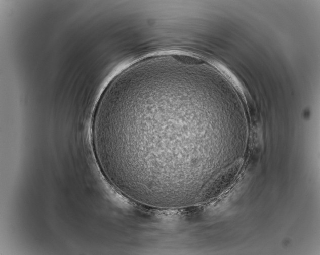 X0000099290813200805090929