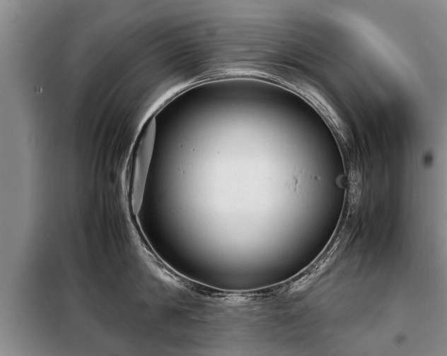 X0000099290814200805090929