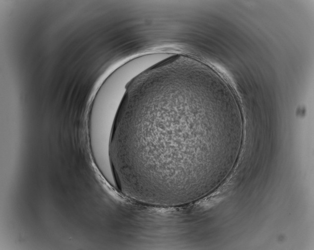 X0000099290816200805090929