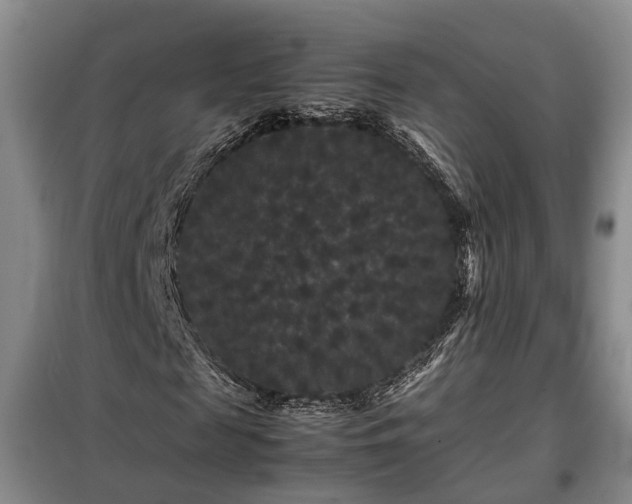 X0000099290817200805090928