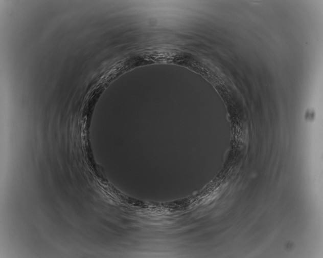 X0000099290818200805090928