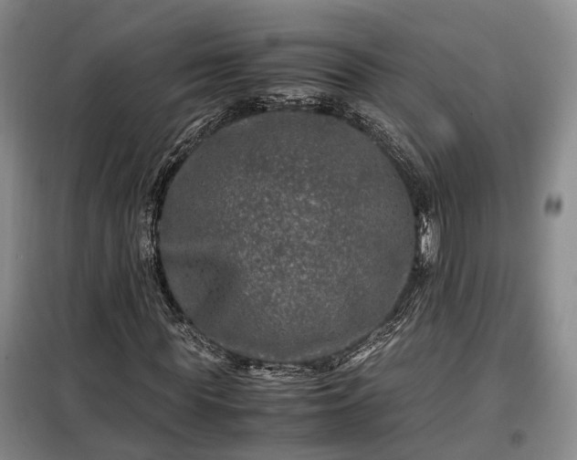 X0000099290819200805090928