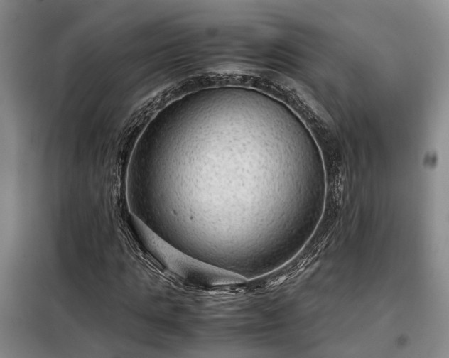 X0000099290821200805090928