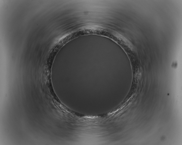 X0000099290822200805090928